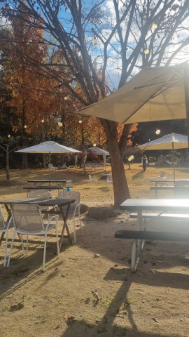 안동 뒤뜰카페 돈까스 맛집 임동 임하댐 근처 식당 추천