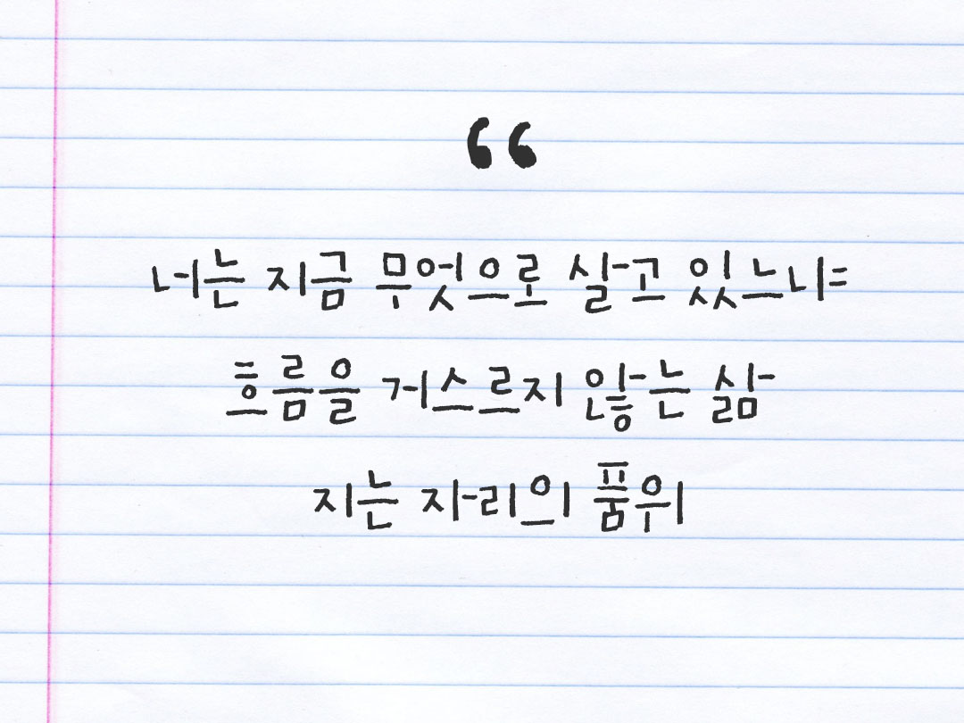 2026년 2월 22일 피어나네 감사노트|일상을 행복으로 바꾸는 기록 하루 3줄 감사일기