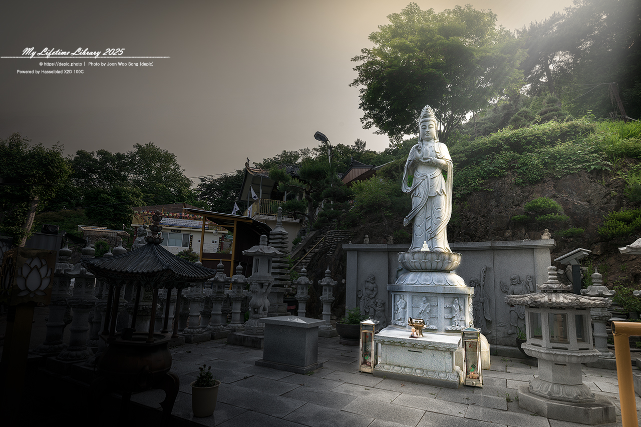 #불교 #사찰 #괴산 #불상 #무량약수사