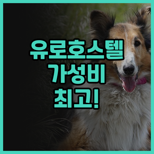 유로호스텔 후기! 가성비 최고 헬싱키..