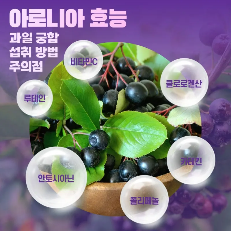 아로니아 먹는 가장 좋은 방법과 생 냉동 분말 활용 팁_2