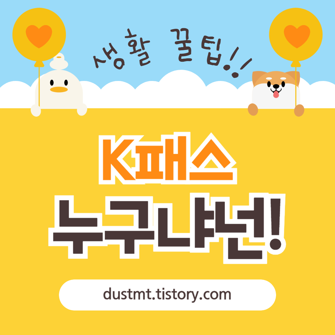 K패스 누구냐 넌!!