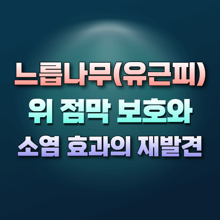 느릅나무의주요성분과효능