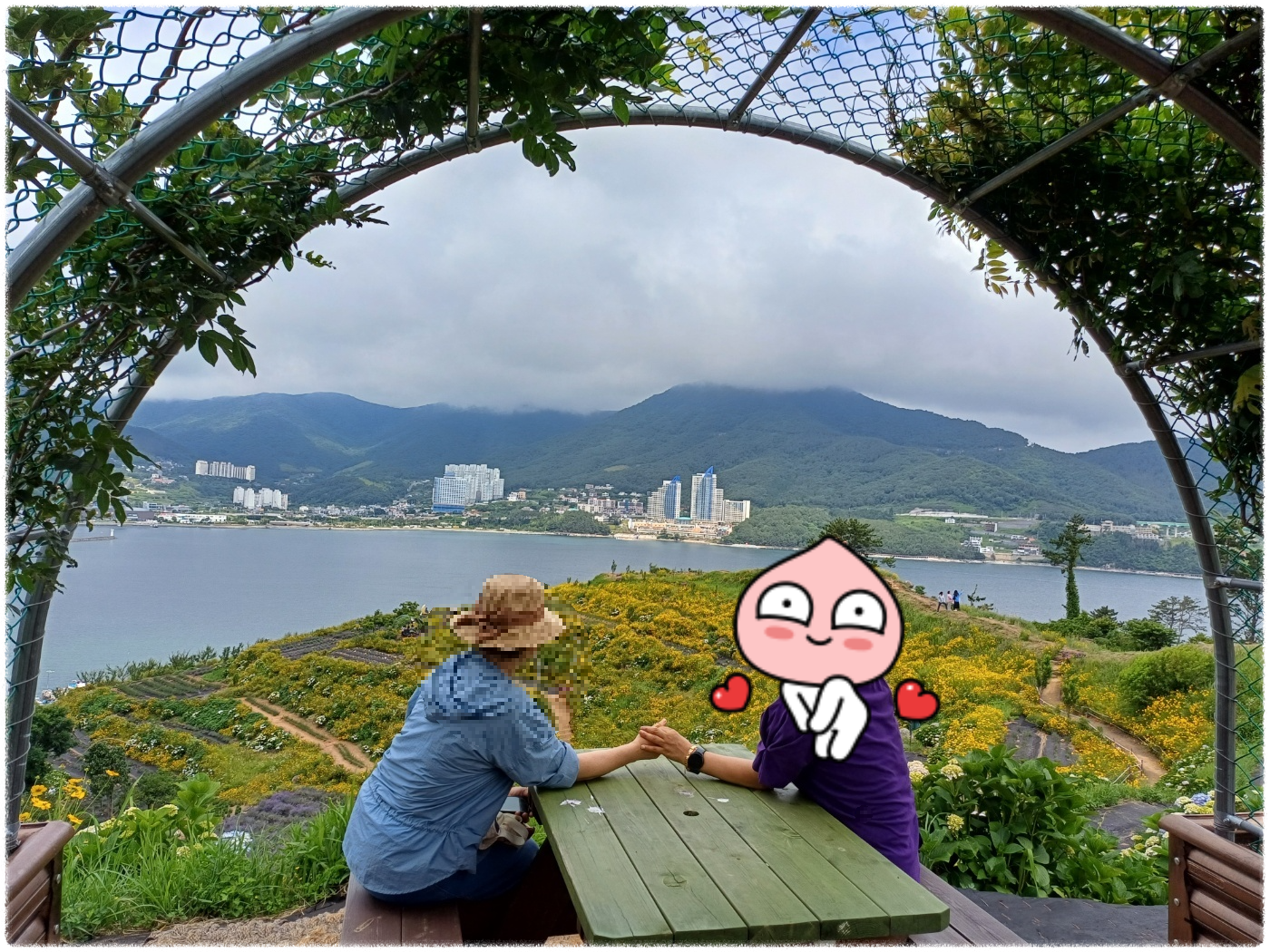 지세포 라벤더 공원