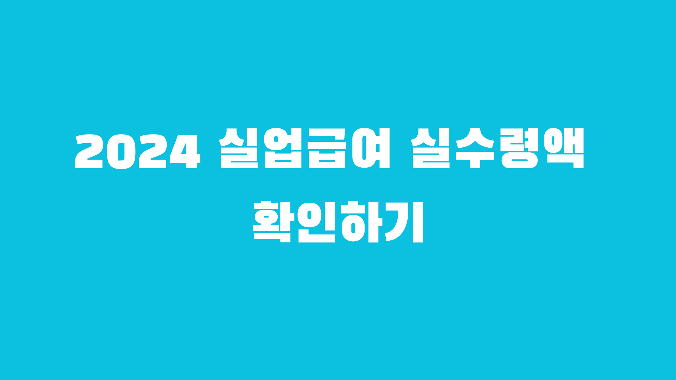 2024 실업급여 실수령액 확인하기