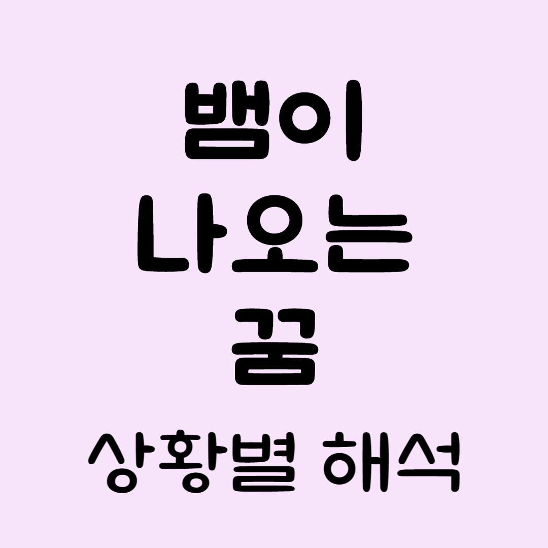 뱀꿈해몽풀이