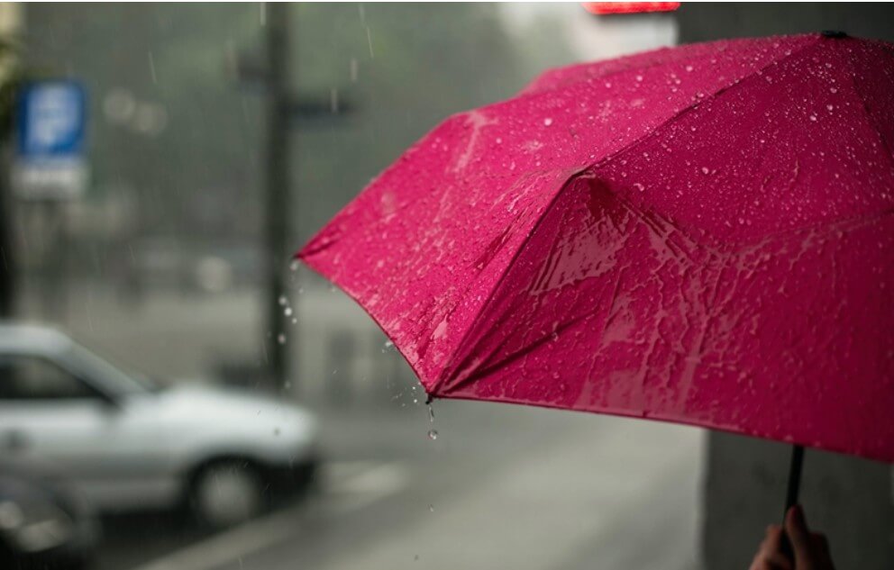 비오는날-인사말