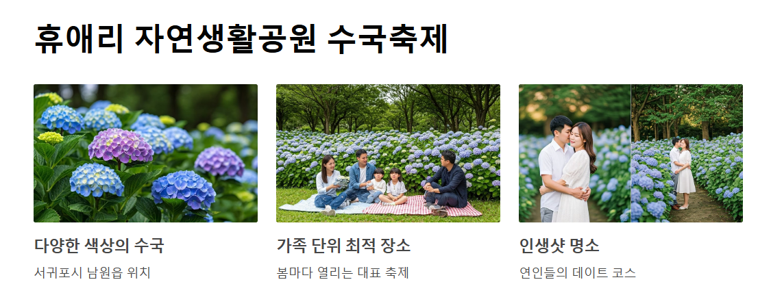 5월 제주도 연휴, 꼭 가봐야 할 명소와 축제