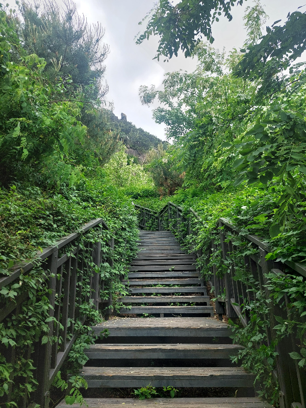 안산