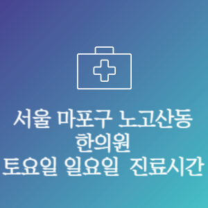 서울 마포구 노고산동 한의원 주말 토요일 일요일 문여는 병원 진료시간