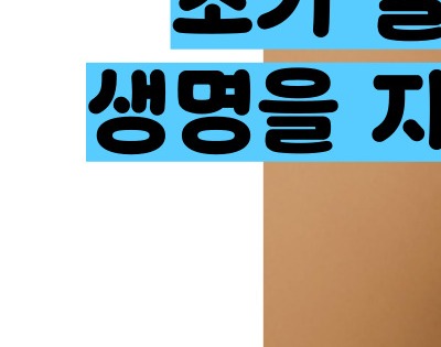 전립선암 초기증상