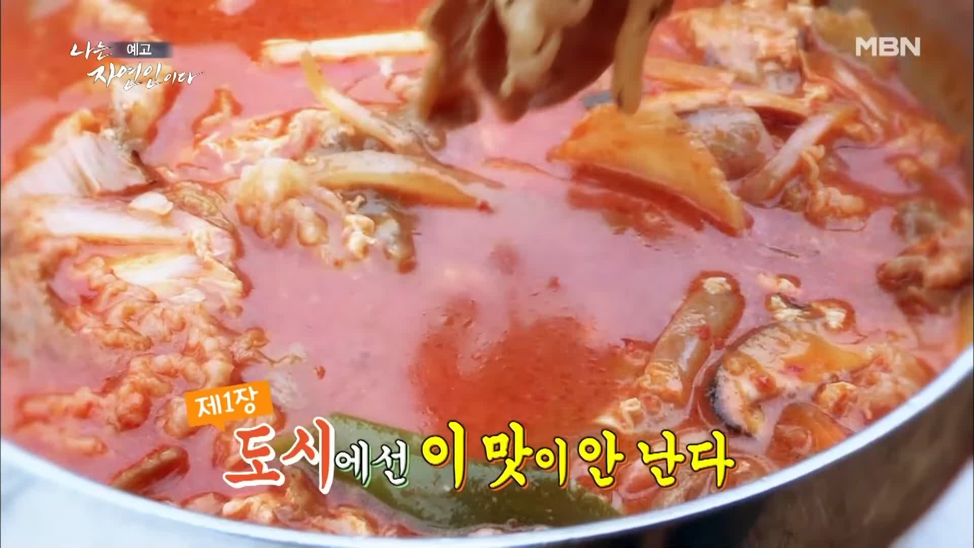이승윤 윤택 나는 자연인이다 513회 오랜 장사로 건강을 잃은 자연인 나의 다채로운 생활 이재홍 소개 및 출연 다시보기