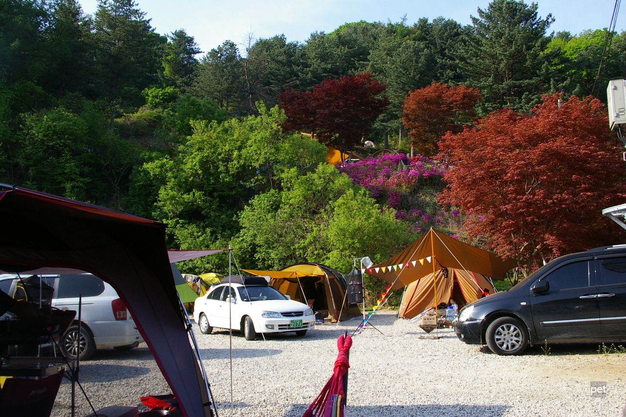 경기-동두천-산야초자연캠핑장-예약-방법-애견-동반-가격-주소-시간-후기