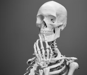 골다공증에 좋은 음식 예방 식단