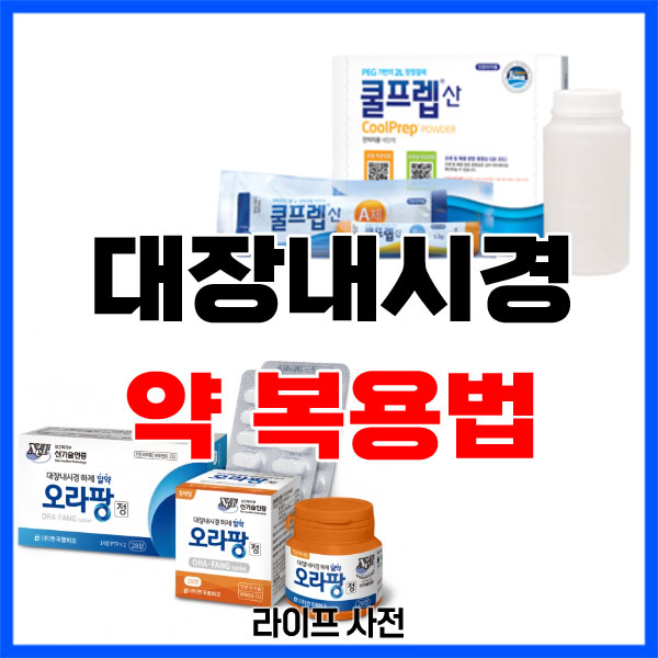 대장내시경 약 복용법