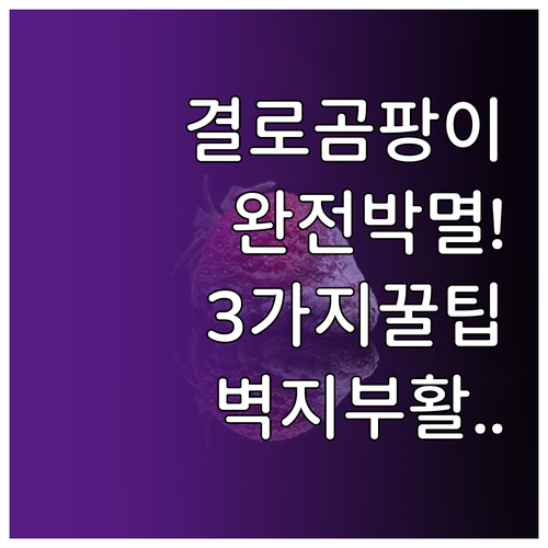결로 현상으로 생긴 벽 곰팡이 근본적..