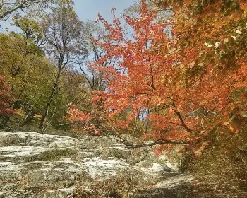 설악산 단풍, 절정 시기_13