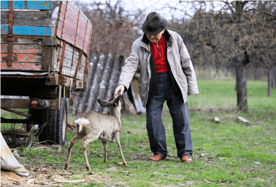 국민연금 예상수령액 조회 