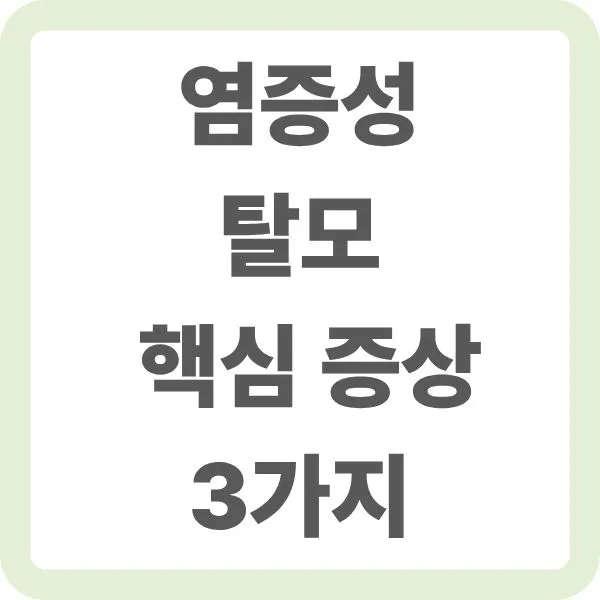 두피 뾰루지 염증성 탈모 증상