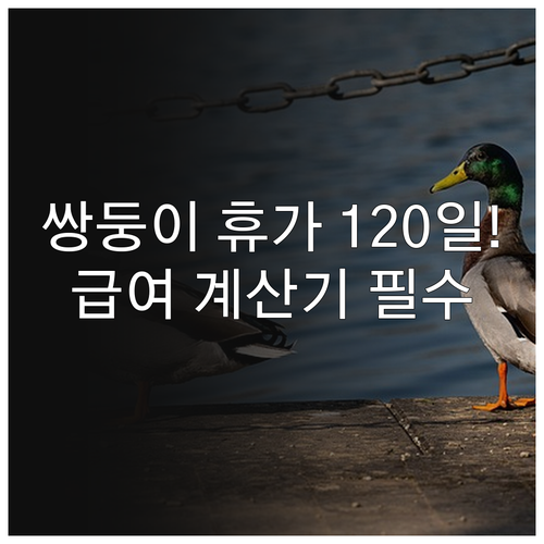 쌍둥이 다태아 출산휴가 120일 확대..