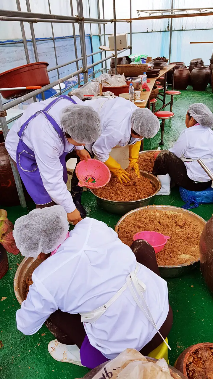 6시내고향 전북 부안 연잎장 연된장 연청국장 파는 곳 전국 택배 온라인 전화 주문 추천