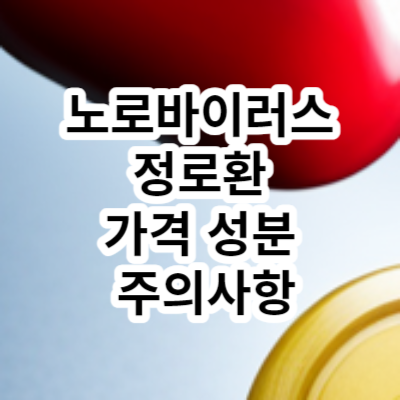 노로바이러스 정로환 가격 성분 주의사항