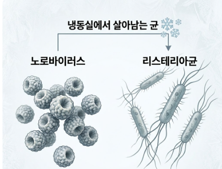 냉동실에 살아남는 균, 노로바이러스와 리스테리아균