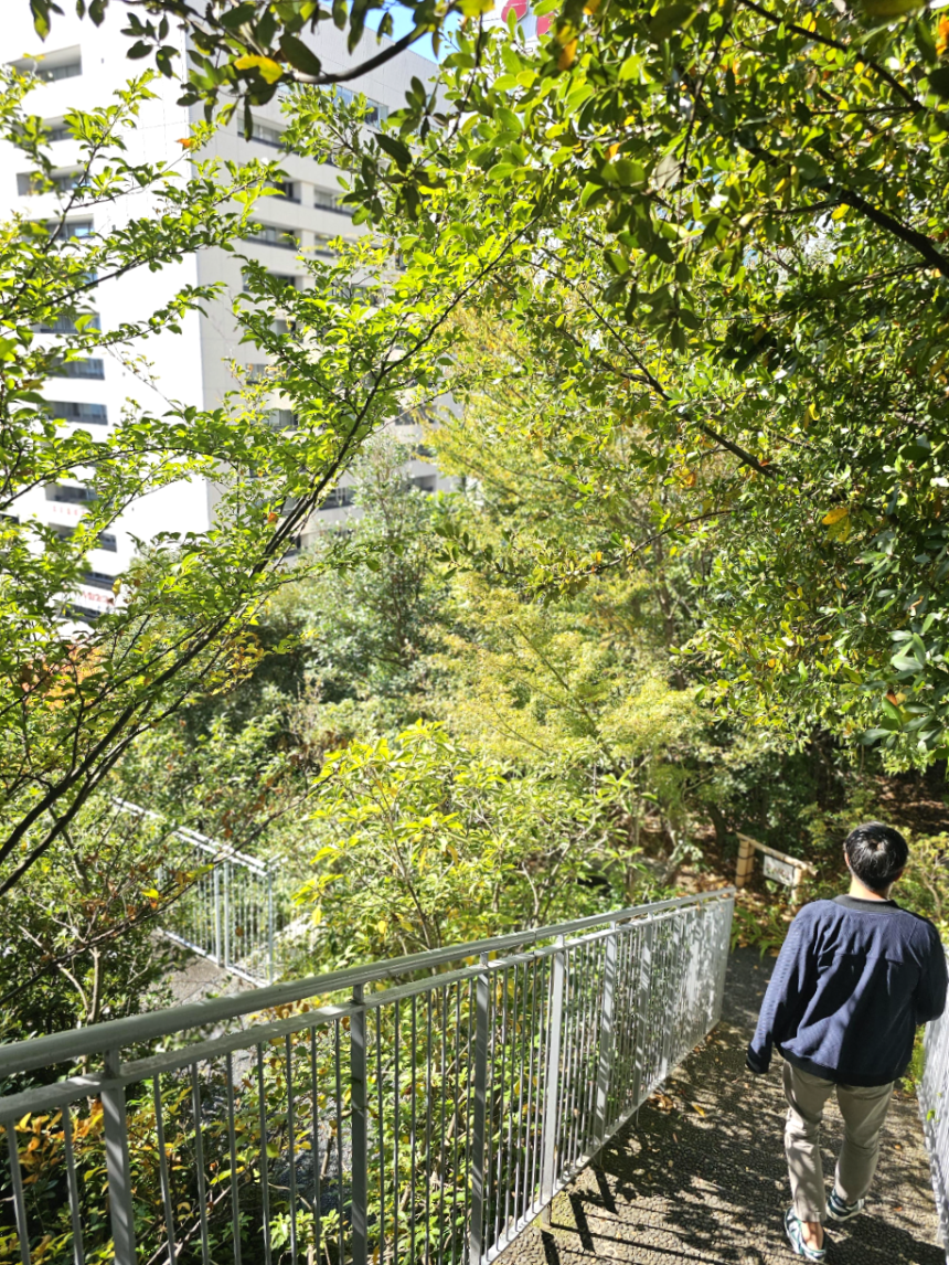 아크로스 후쿠오카 옥상에서 내려가는길