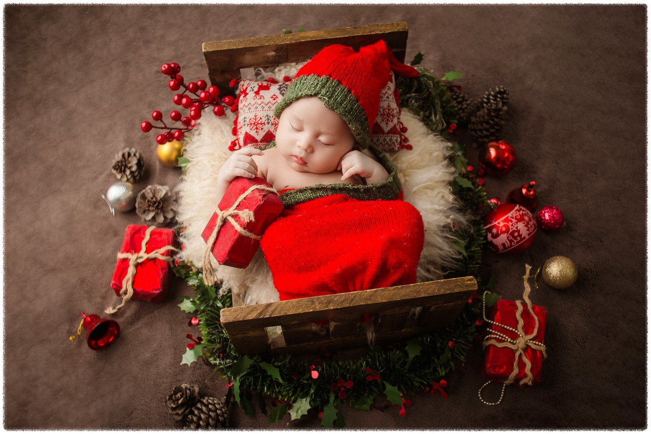 이용 절차 안내