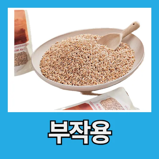 섭취시 주의사항, 부작용
