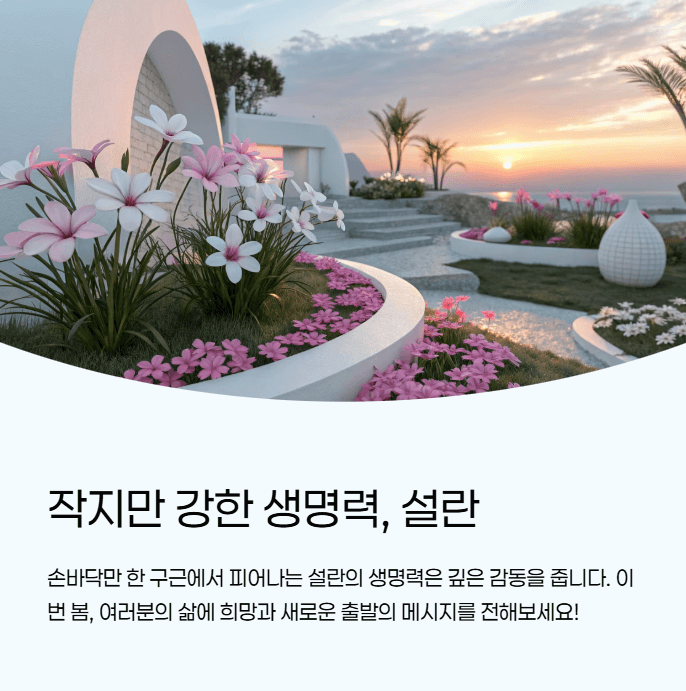 설란