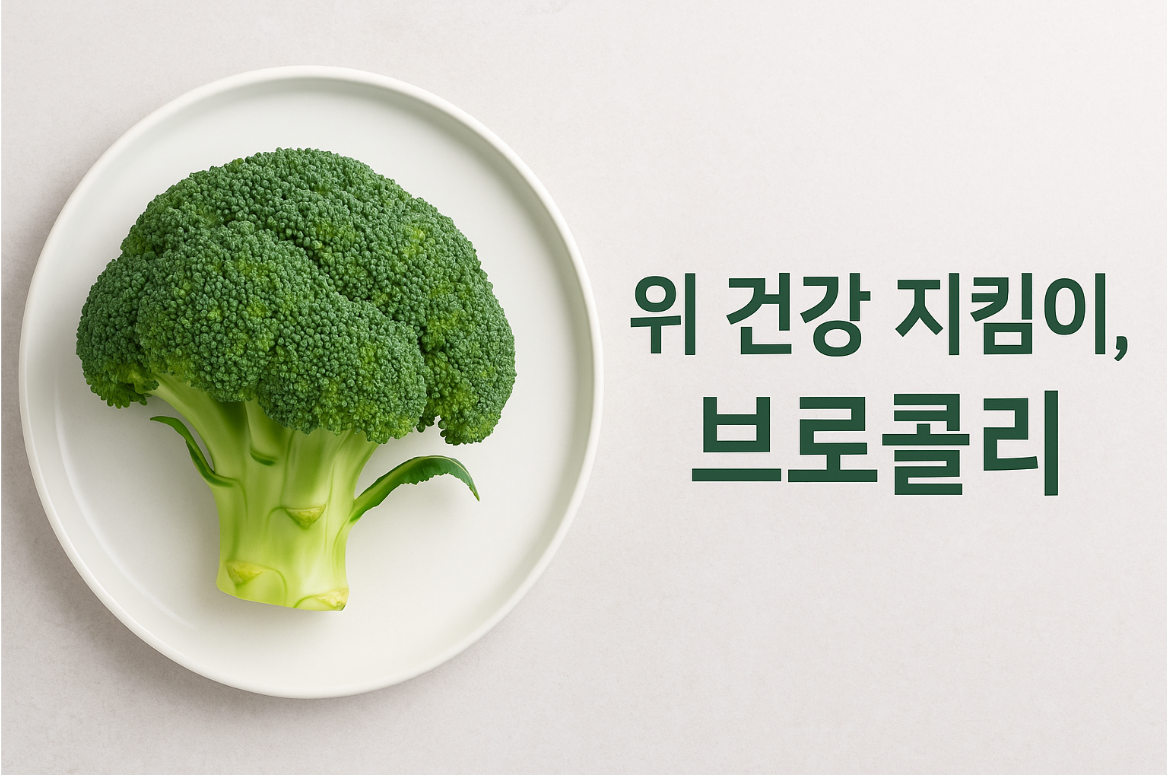 위 건강 지킴이, 브로콜리