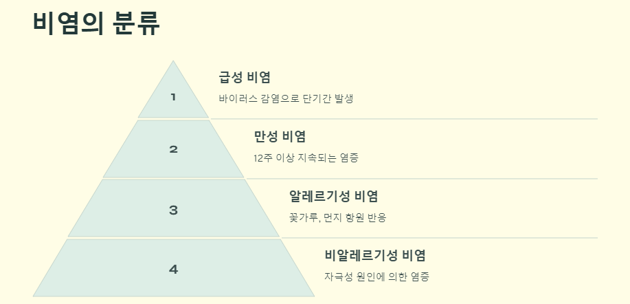 비염 극복하기: 증상 원인 치료방법(좋은음식)