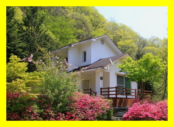 국립휴양림 고객센터&amp;#44; 국립자연휴양림 시스템안내&amp;#44; 여름 휴가산림청&amp;#44; 산림청 운영 휴양림&amp;#44; 산림청 여름성수기 정책&amp;#44; 자연휴양림 성수기 가격차이&amp;#44; 여름휴가 추천 국립시설&amp;#44; 여름휴양지 국립공원&amp;#44; 자연휴양림 위치정리&amp;#44;