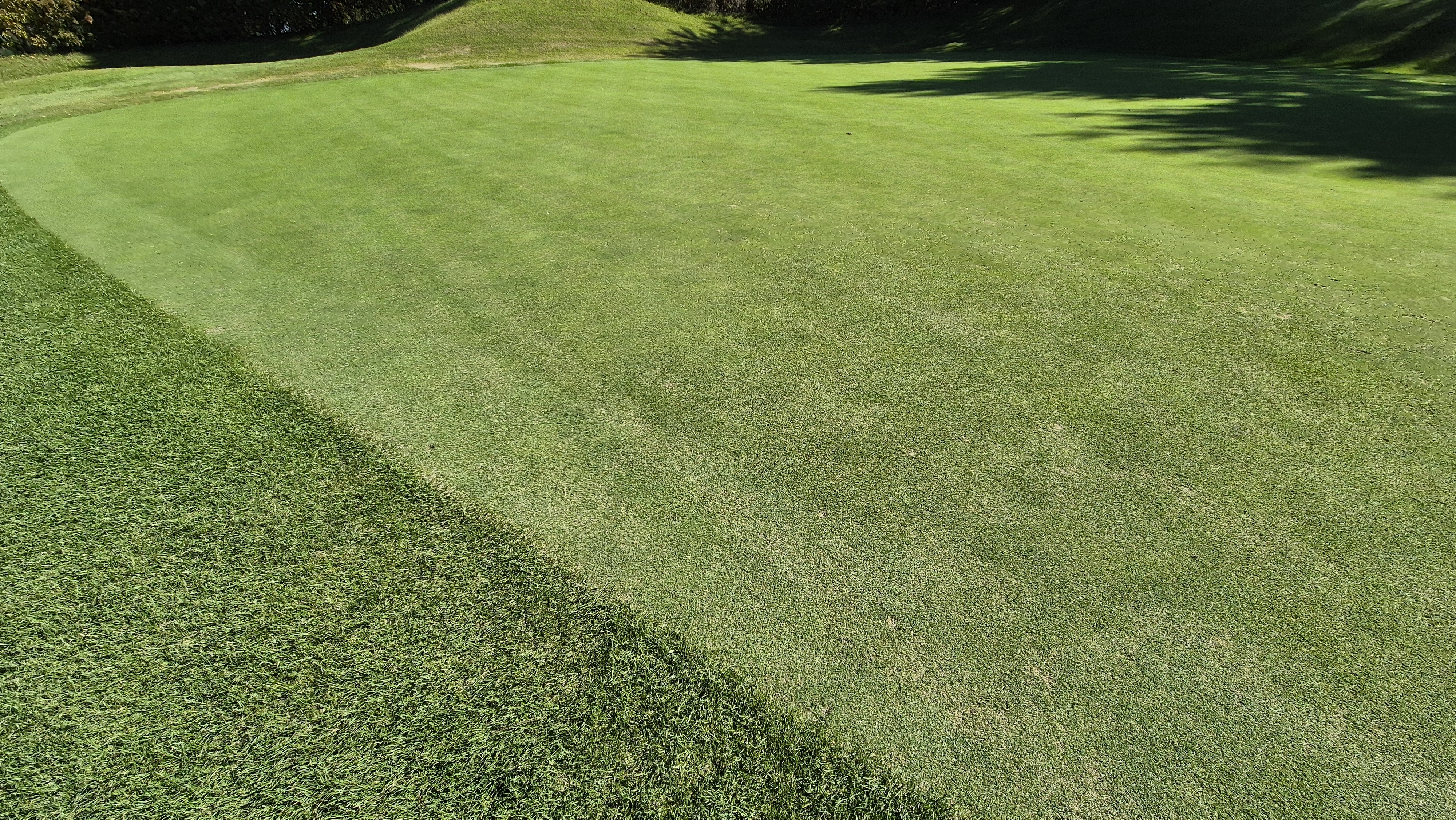 떼제베cc 동-북 코스 그린 빠르기 및 난이도