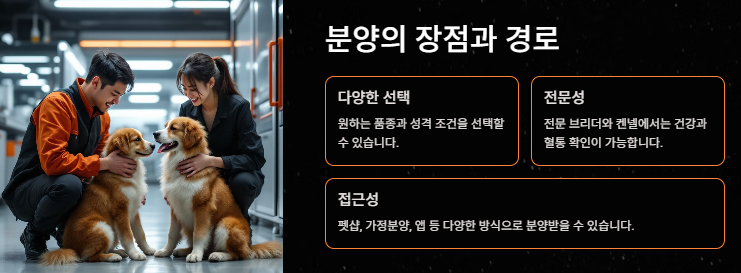 강아지 키우기: 초보견주를 위한 입분양부터 준비물 주의사항