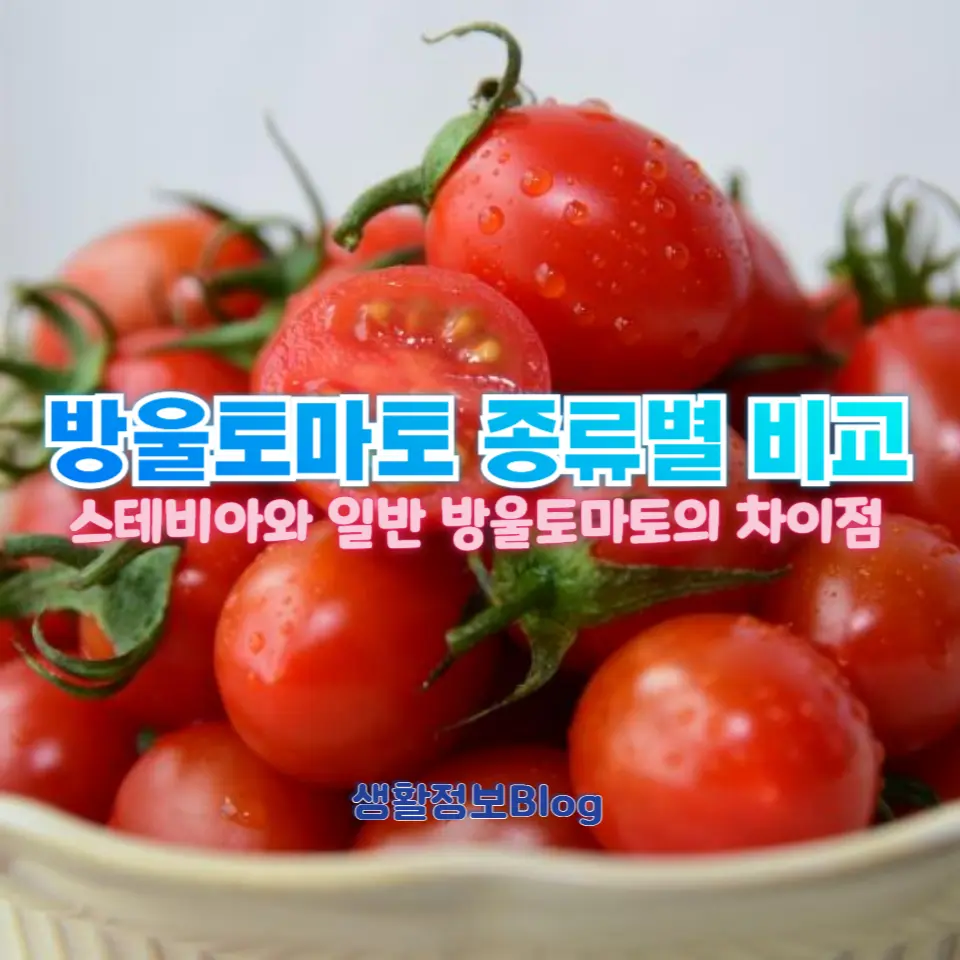 방울토마토 종류별 비교:
