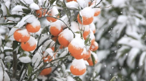 겨울철 국내 여행지