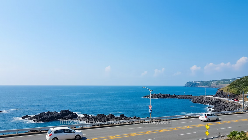 스마트폰 화면에 선명하게 보이는 TDAC 제출 완료 및 QR코드 확인 화면.