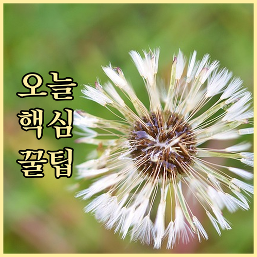 육아휴직급여 궁금증 해결 사기업 공공..