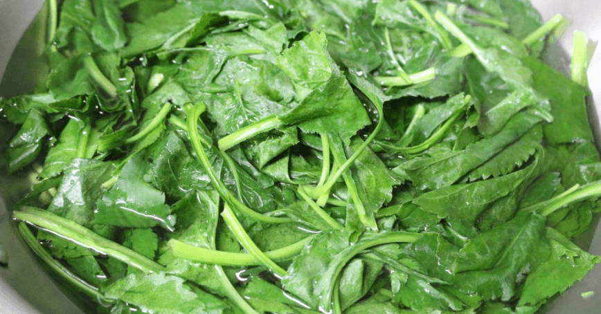 채소 취나물 사진 - 11