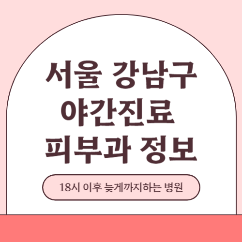 서울 강남구 야간진료 피부과 병원 (18시 이후 늦게까지하는 병원)