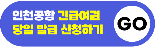 여권-재발급-온라인-신청-방법-준비물-기간-비용-신청-서류-확인