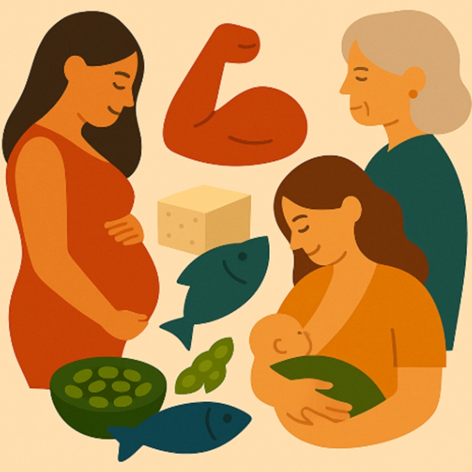 여성의 생애주기에 따라 변화하는 단백질 섭취 필요량을 시각적으로 표현한 일러스트