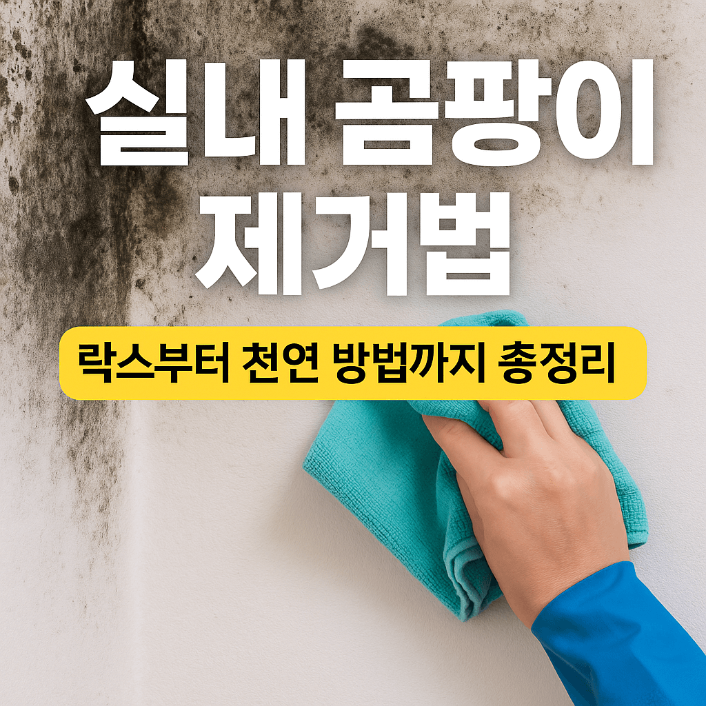 실내 곰팡이 제거법