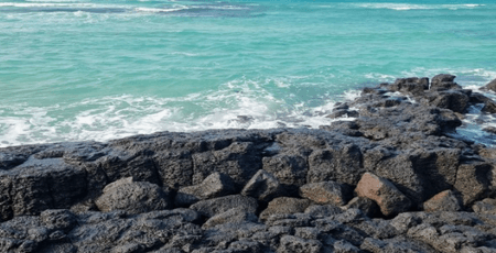 제주도 서쪽 여행코스