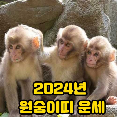 2024년 원숭이띠 운세 썸네일