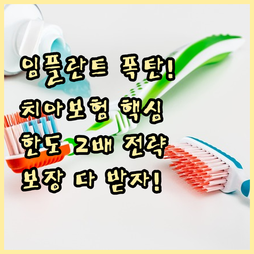 임플란트 크라운 대비 메리츠 치아보험..