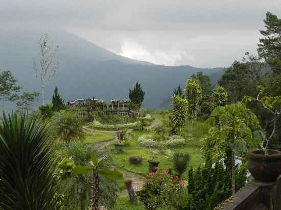 인도네시아 발리 관련 사진