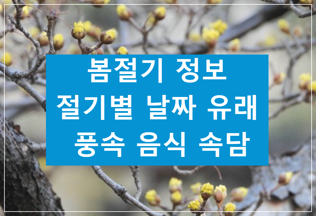 봄절기 정보 절기별 날짜 유래 풍속 음식 속담 정보